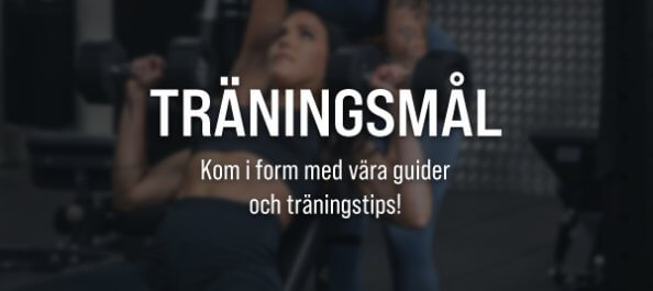 SE-Träningsmål-231204