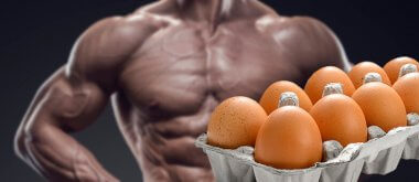 Muskelmaten som kallas ägg